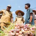 Panen Bawang di Beringin, Bupati Asri Pastikan Pasar dan Harga Petani Lewat Si PANDAI