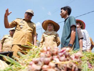 Panen Bawang di Beringin, Bupati Asri Pastikan Pasar dan Harga Petani Lewat Si PANDAI