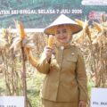 Plt Bupati Langkat, Tiorita Br. Surbakti