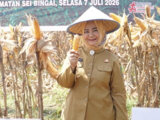 Pimpin Panen Raya Jagung di Sei Bingai, Tiorita Perkuat Swasembada Pangan Langkat