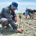 Aksi Bela Negara 2026 di Batu Bara, NAFAS dan POSSI Sumut Tanam Mangrove hingga Transplantasi Terumbu Karang