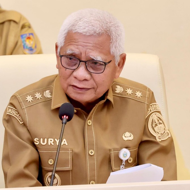 Wakil Gubernur Sumut Surya