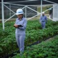 PLTA INALUM Borong 8 Penghargaan ENSIA 2026, Empat Kategori Raih Predikat Platinum