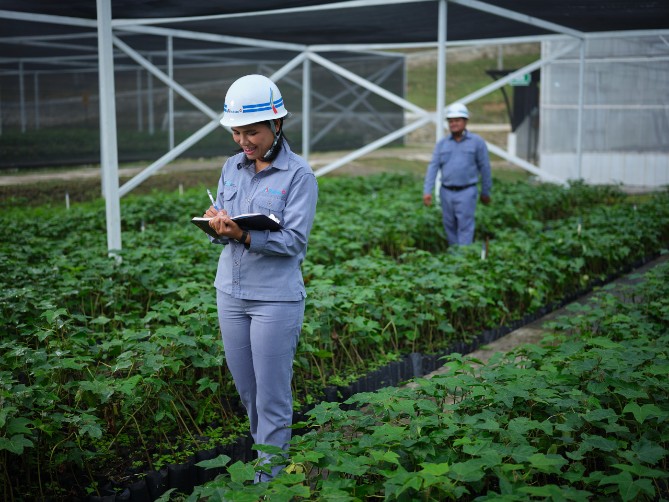 Pembangkit Listrik Tenaga Air (PLTA) milik PT Indonesia Asahan Aluminium (Persero) atau INALUM meraih delapan penghargaan dalam ajang Environmental and Social Innovation Awards (ENSIA) 2026 yang berlangsung di Bali.