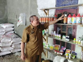 Petani Terdampak Banjir Kekurangan Pupuk, Pemkab Deli Serdang Turun Tangan