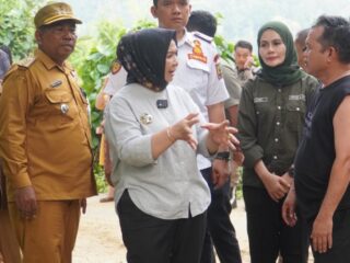 Jalan Longsor di Salapian Kembali Bisa Dilalui, Plt Bupati Tinjau Langsung Lokasi Perbaikan