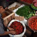 Harga cabai merah yang sempat menembus Rp80.000 per kilogram akhirnya ditekan menjadi Rp55.000/kg melalui intervensi Tim Pengendalian Inflasi Daerah (TPID) Sumatera Utara.